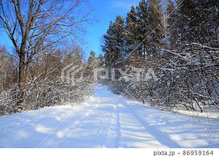 Winter landscape. The snowy road goes up through the forest. Beautiful blue February sky. Wildlife of Eastern Siberia. 86959164