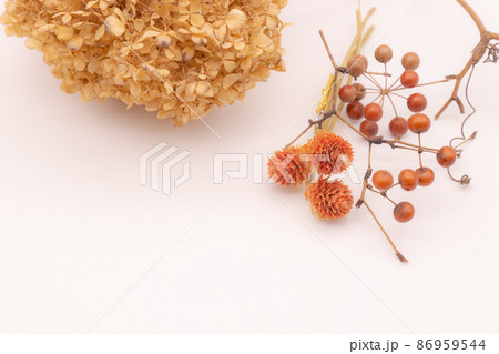 ドライフラワー　秋イメージ　 86959544