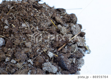 Dry cow dung, Close up Dry cow dung, Close up 86959764