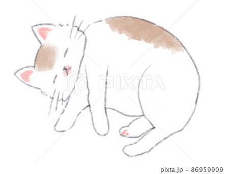 気持ちよさそうに横になって寝ている白地に茶色いブチの猫 86959909