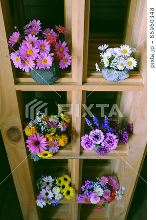 Group of colorful flower pot on wooden shelves for home decor 86960348