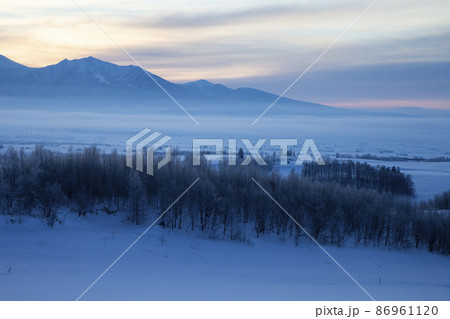 雪原の丘 86961120