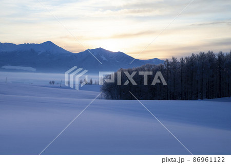 雪原の丘 86961122