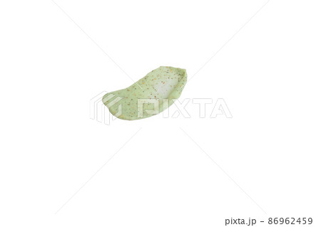 A sample of a natural green scrub on a white background. Peeling cream with microcapsules. Smear of apple or coffee scrub. 86962459