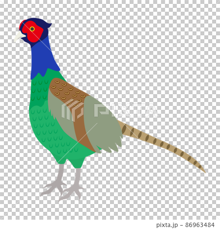 雉のイラスト 86963484