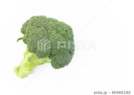 ブロッコリー 白背景 の写真素材