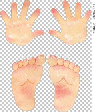 Illustration of the palm and sole of the foot 86967834