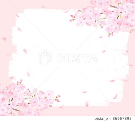 かわいい薄いピンク色の桜の花と花びら春のピンクの壁紙に白いペンキのフレームベクター素材イラストのイラスト素材