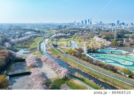空撮「埼玉県」見沼田んぼの美しい桜回廊 86968510