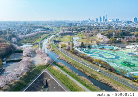 空撮「埼玉県」見沼田んぼの美しい桜回廊 86968511