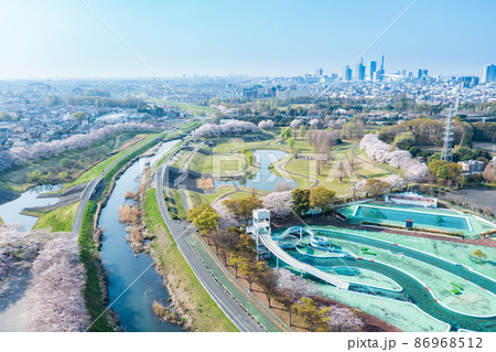 空撮「埼玉県」見沼田んぼの美しい桜回廊 86968512