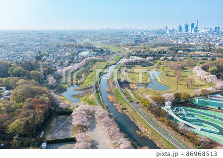 空撮「埼玉県」見沼田んぼの美しい桜回廊 86968513