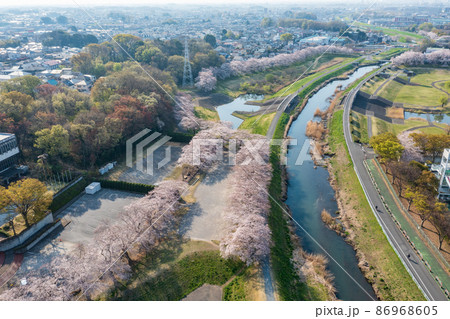 空撮「埼玉県」見沼田んぼの美しい桜回廊 86968605