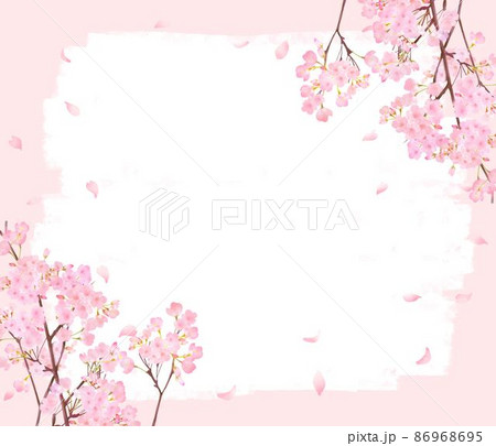 かわいい薄いピンク色の桜の花と花びら春のピンクの壁紙に白いペンキのフレームベクター素材イラストのイラスト素材