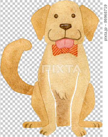 おすわりをする蝶ネクタイを付けた犬の水彩イラストのイラスト素材