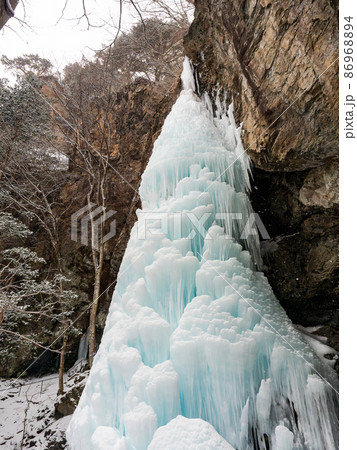 厳冬の景色　ダイナミックな凍った滝　大禅滝の大氷柱 86968894