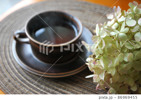 紫陽花(アナベル)のドライフラワーとアラビアのカップに入ったコーヒー 紫陽花(アナベル)のドライフラワーとアラビアのカップに入ったコーヒー 86969455