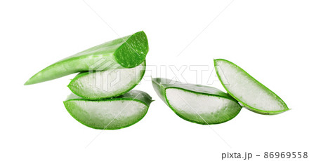 Aloe vera plant leaves and slices isolated on white background. Aloe vera for natural cosmetics and alternative medicine. Aloe vera plant leaves and slices isolated on white background. Aloe vera for natural cosmetics and alternative medicine. 86969558