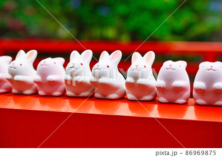 岡﨑神社のうさぎみくじ(京都) 岡﨑神社のうさぎみくじ(京都) 86969875