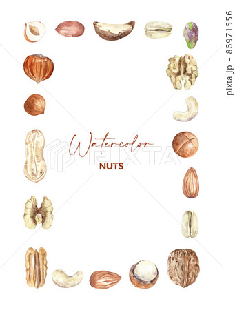 Nuts border design. Raw pecan, walnut, almond, pistachio, peanut, macadamia, hazelnut and cashew. Hand drawn watercolor illustration of organic food for packaging, label, card. Nuts border design. Raw pecan, walnut, almond, pistachio, peanut, macadamia, hazelnut and cashew. Hand drawn watercolor illustration of organic food for packaging, label, card. 86971556