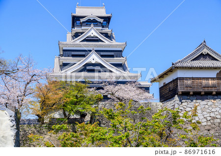 桜の花咲く季節　熊本城内から桜と天守閣風景　Kumamoto Castle 86971616