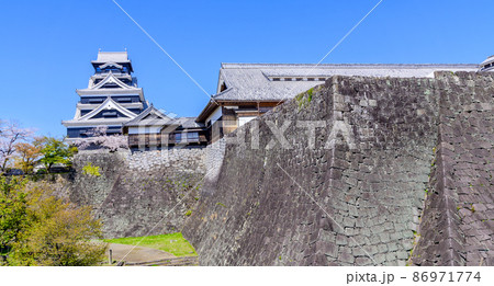 熊本城　桜の花と天守閣風景Kumamoto Castle and cherry blossoms 86971774