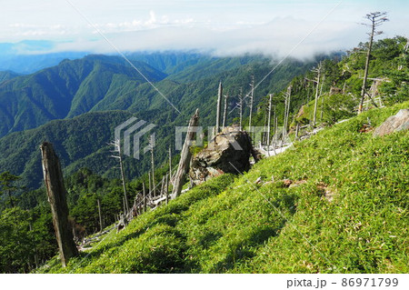 夏山を眺めながら大峯奥駈道ハイキング 86971799