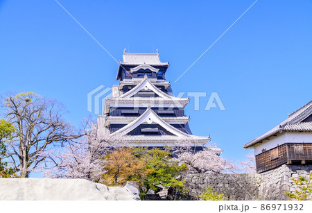 熊本城 桜の花と天守閣風景Kumamoto Castle and cherry blossoms 熊本城 桜の花と天守閣風景Kumamoto Castle and cherry blossoms 86971932