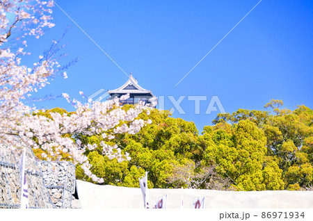 熊本城 桜の花と天守閣風景Kumamoto Castle and cherry blossoms 熊本城 桜の花と天守閣風景Kumamoto Castle and cherry blossoms 86971934