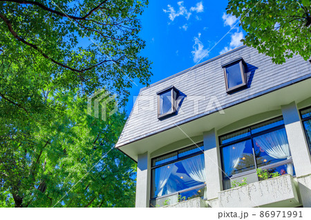 【東京の都市風景】日比谷公園周辺の風景 86971991