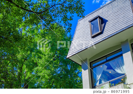 【東京の都市風景】日比谷公園周辺の風景 86971995