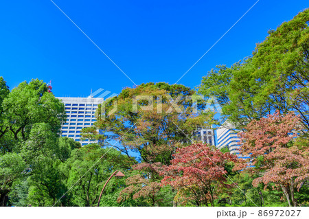 【東京の都市風景】日比谷公園周辺の風景 86972027