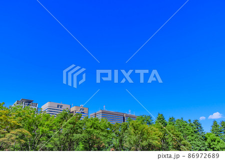 【東京の都市風景】日比谷公園から見た街並み 【東京の都市風景】日比谷公園から見た街並み 86972689