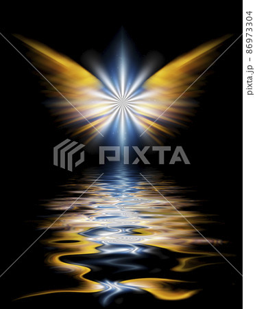 Angel's Wings 86973304