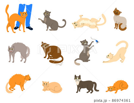 Cats Emotions Body Language Set 86974361