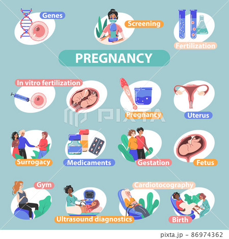 Pregnancy Fertility Flat Infographics 86974362