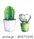 Two cacti in pots painted in watercolor. 86975946