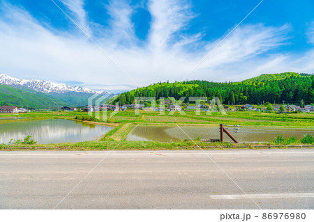 初夏の白馬村と北アルプス 水田風景【長野県】 初夏の白馬村と北アルプス 水田風景【長野県】 86976980