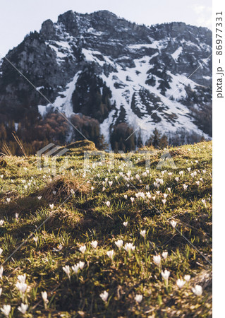 Swiss mountains - monumental rock formations in the Alps Swiss mountains - monumental rock formations in the Alps 86977331