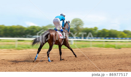 Galloping race horse in racing competition. Jockey on racing horse. Sport. Champion. Hippodrome. Equestrian. Derby. Speed 86977517
