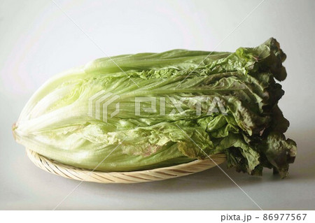 野菜 サニーレタス 野菜 サニーレタス 86977567