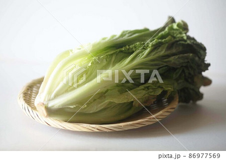 野菜 サニーレタス 野菜 サニーレタス 86977569