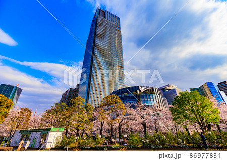 東京都　港区赤坂　東京ミッドタウンと満開の桜 86977834