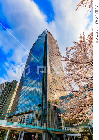 東京都 港区赤坂 東京ミッドタウンと満開の桜 東京都 港区赤坂 東京ミッドタウンと満開の桜 86977847