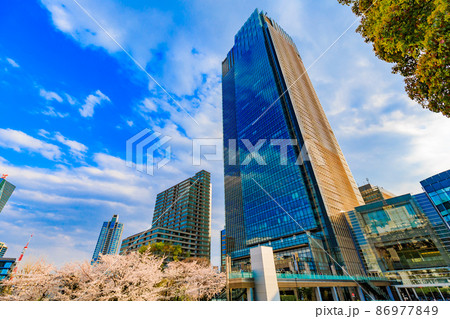 東京都 港区赤坂 東京ミッドタウンと満開の桜 東京都 港区赤坂 東京ミッドタウンと満開の桜 86977849