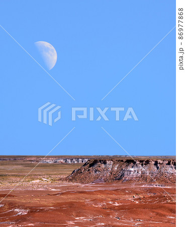 Petrified Forest and Moon Petrified Forest and Moon 86977868