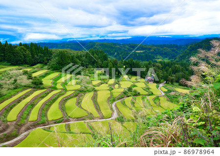 外之沢の棚田（新潟県） 86978964