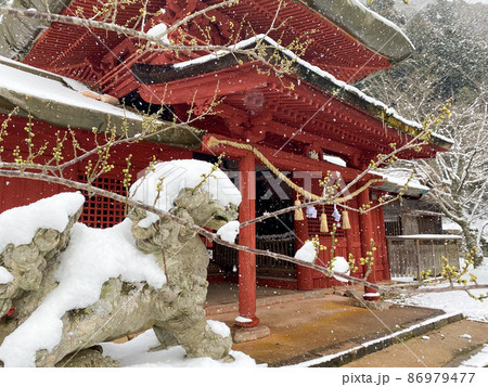 雪と狛犬 雪と狛犬 86979477
