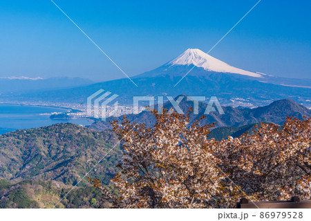 (静岡県)桜咲く、伊豆パノラマパークから望む富士山 (静岡県)桜咲く、伊豆パノラマパークから望む富士山 86979528