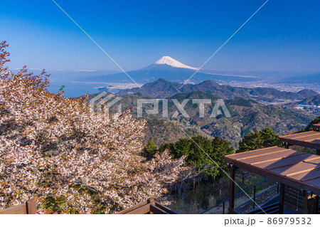 （静岡県）桜咲く、伊豆パノラマパークから望む富士山 86979532
